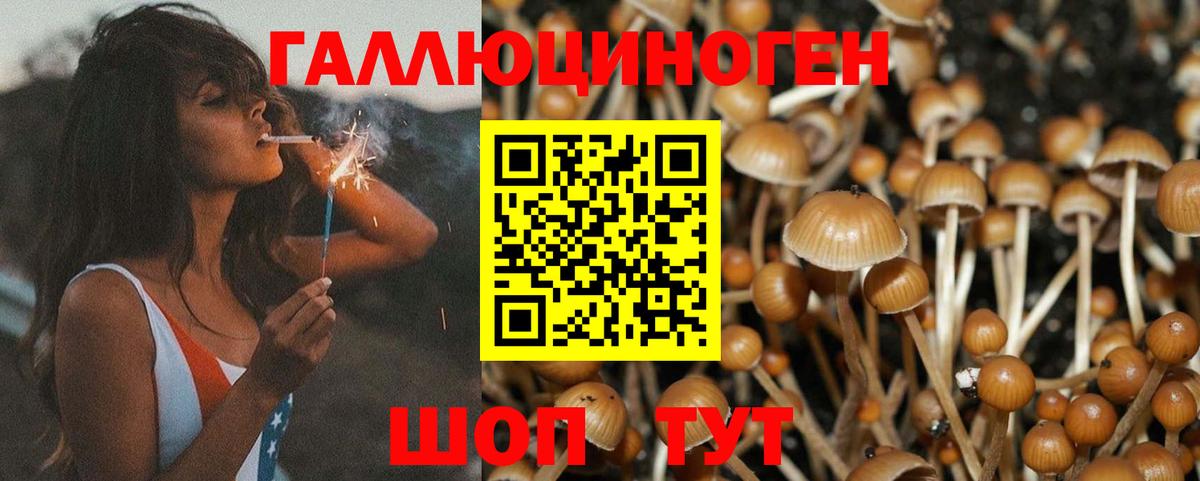 Галлюциногенные грибы ЛСД Лысьва